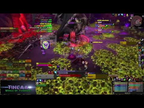 Nythendra 30m Heroic by Wings of Ysondre (NO AUDIO)