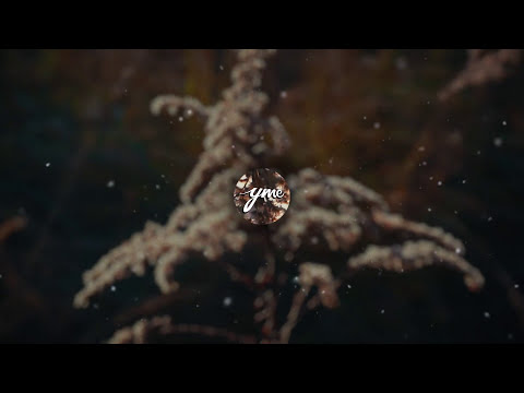 Delyno - One More Shot (feat. Andrei) [Bihler Remix]