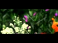 Chelsea Olivia - Antara Cinta dan Dusta (Feat. Evan Sanders)