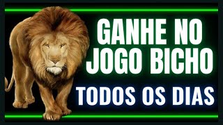 ????como ganhar no jogo do bicho todo dia -  Veja como ganhar no jogo do bicho sempre - jogo do bicho