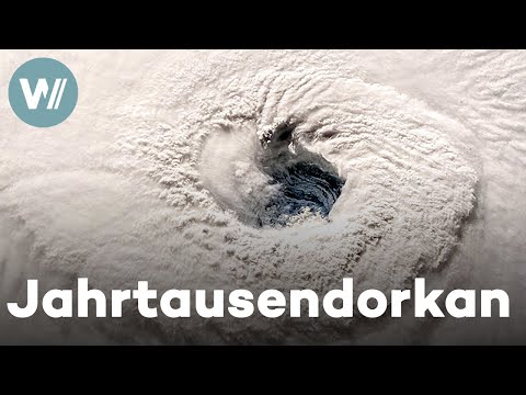 Rückkehr des Jahrtausendorkans - Droht bald ein Mega-Hurrikan? | Unser Planet - Naturgewalten (4/4)