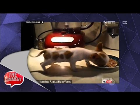 The Comment - Dj Una dan Vivicu