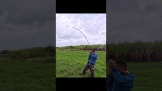 Download lagu snakehead fish attack, strike and catching #krfishhunter #snakeheadfishing #fishing mp3 Download lagu snakehead fish attack, strike and catching #krfishhunter #snakeheadfishing #fishing mp3