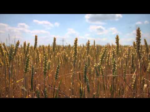 Umzug ins Haus der Maschinenringe