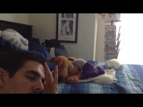 107.1 KLZT Strikes Again