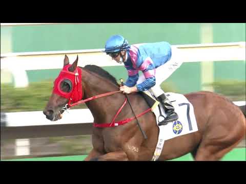 8/5/2021 (661) Hongkong Great - Z Purton (New record time!)