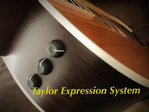 Taylor Expression System