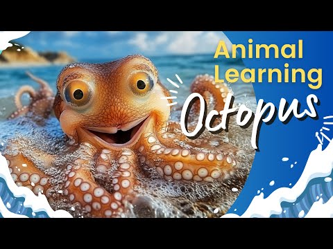 Sea Animal Octopus For Kids 🐙🌊 | All About Octopus Facts 🧠 | Animal Learning Videos For Toddlers 🧐
