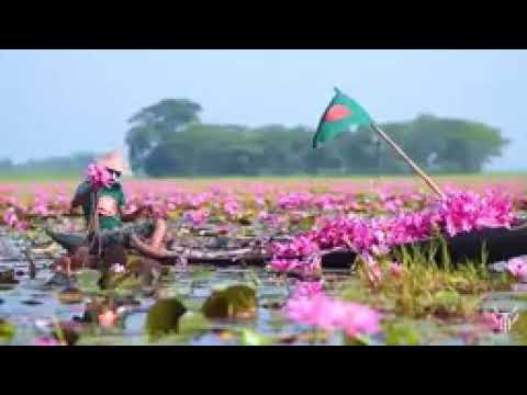 #shorts #National flower.