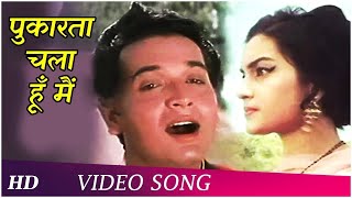 Pukarta Chala Hoon Main (HD)  Mere Sanam (1965)  A