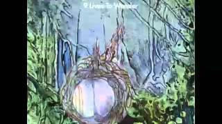 The Legendary Pink Dots - Crumbs On The Carpet