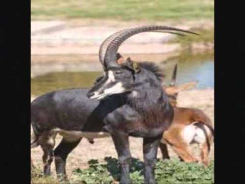 Carlos Baptista  _  Enquanto espero