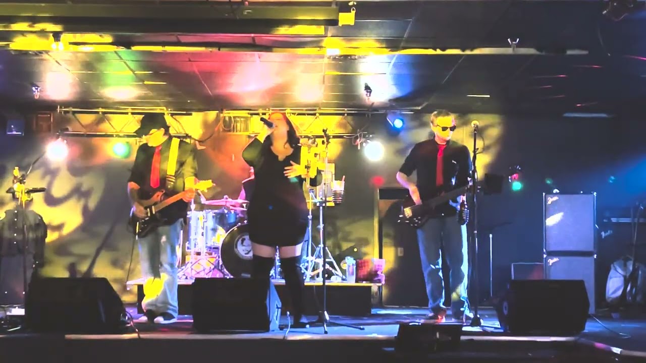 Promotional video thumbnail 2 for Serious Shirley