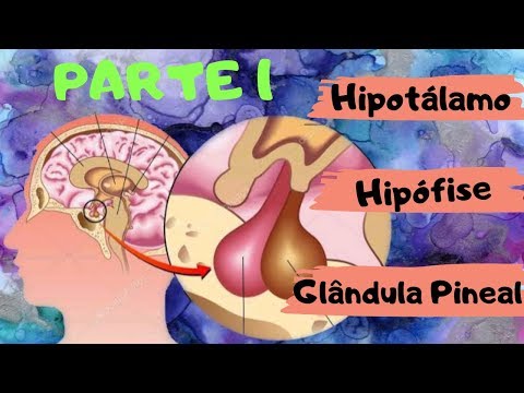 AULA 46: SISTEMA ENDÓCRINO - PARTE 1