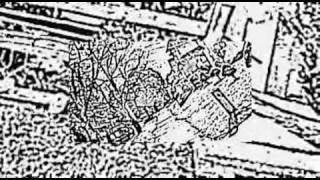 "Lobotomizer" - Dead Pixel