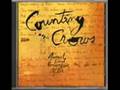 Counting Crows - Mr Jones (acoustic) + Lyrics 