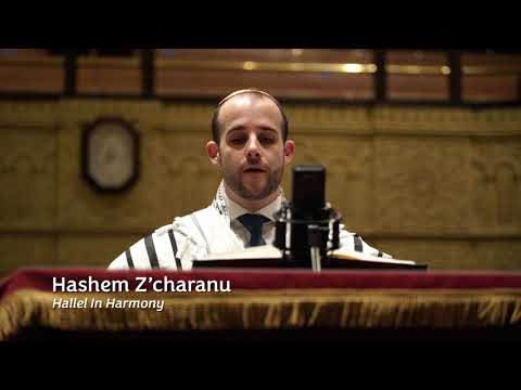 Hashem Z'charenu | Hallel In Harmony