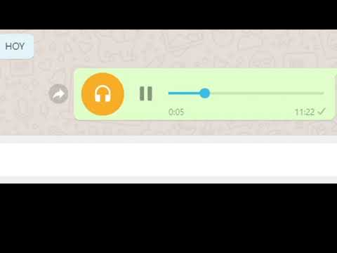 RECOPILACIÓN - FELIZ HALLOWEEN - GRUPO SOY VANESA