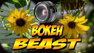 Video thumbnail for MEIKE 25mm F1.8 - Professional Quality, Budge Cost - Sony A5100 by TheMysticSpade