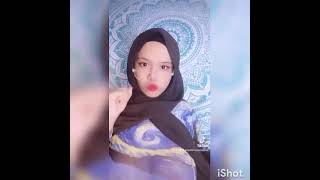 Arapaisely