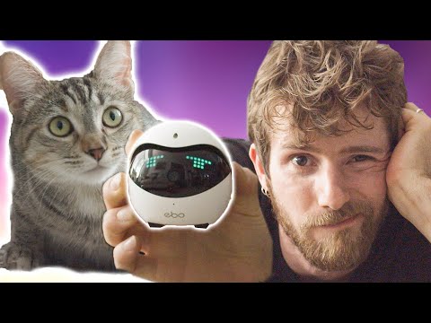 I WASTED $240 on my cat - enabot EBO Catpal