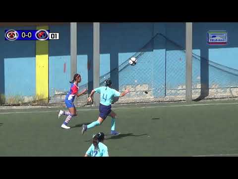 FINAL FEMENIL LIGA 2019 CAT MARIPOSAS