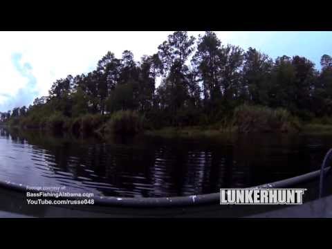 Lunker Frog Video