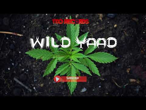 WILD YAAD RIDDIM - DANCEHALL INSTRUMENTAL - JULY 2018 - TDO RECORDS