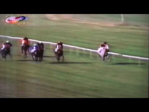 Nagroda Próbna - 29.06.1994 - Traversa (Demon Club - Terrakota)