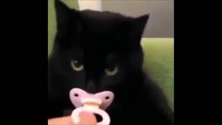 xxxtentacion - ruff neck (new snippet)