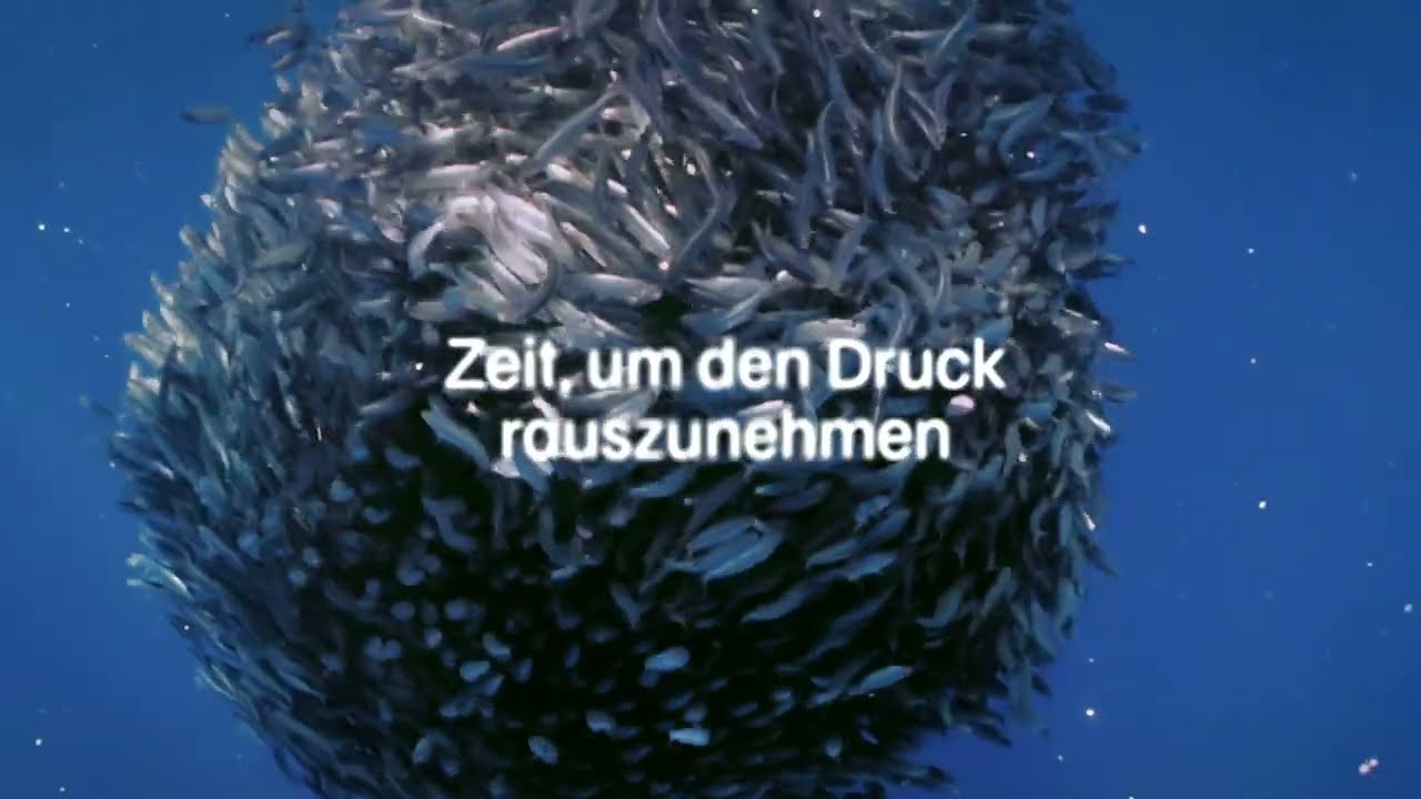 Nachhaltige Fischerei erhält Fischbestände langfristig 🐟🙏