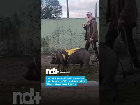 Homem passeia com porco de roupinha em SC e vídeo viraliza: ‘Cachorro é pros fracos’
