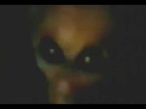 The ”area 51”alien Interview