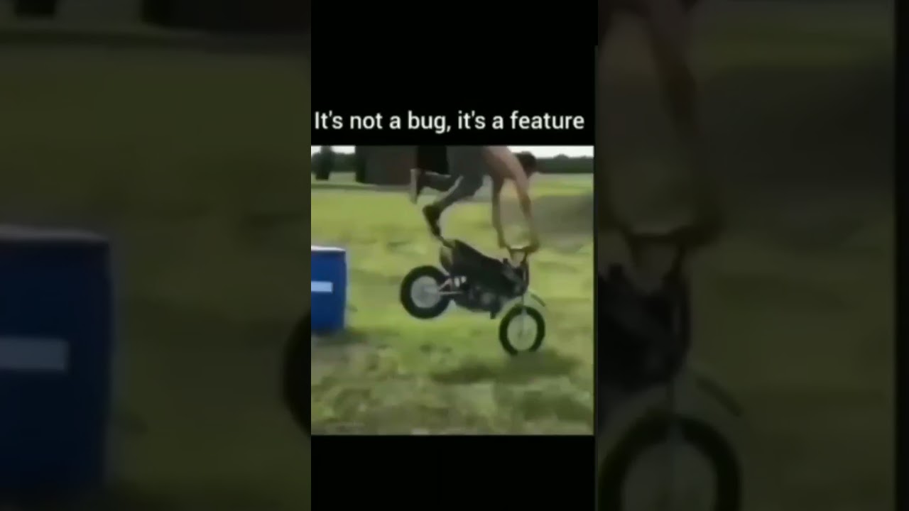 It's Not Bug It's Feature Meme | Programming Meme