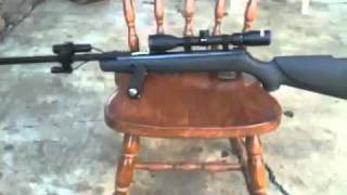 Overview of my Gamo Big Cat 1200 .177