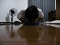Narrow 120 Push ups in one set ナロー腕立て伏せ120回