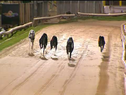 2017 BETFRED SPRINT - T3 TROMORA SONIC