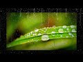 Song Status Whatsapp Status Status Marathi Song Status Status For Whatsapp Rain Status