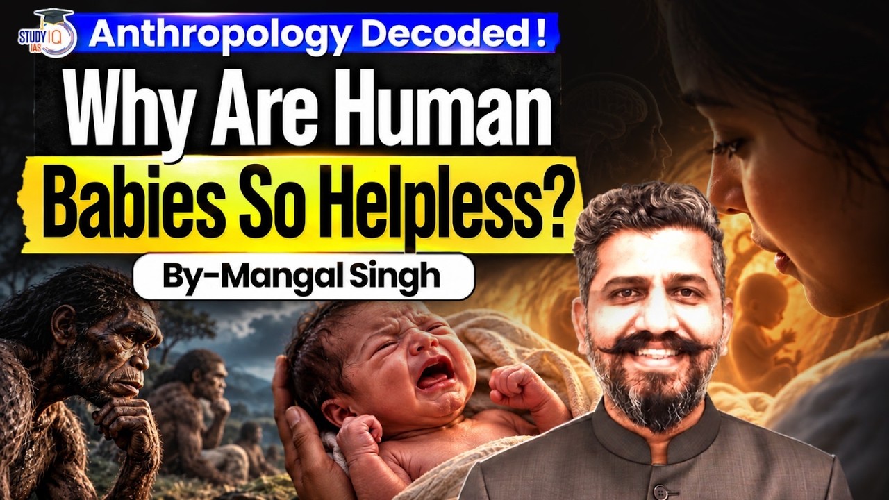 Why Can’t Human Babies Survive on Their Own? Anthropology Explained