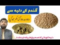 Cow Buffalo Mein گندم Ka دلیہ Doodh کم کیوں Karta Ha Gandum Ka Dalia Khilanay Ka صح�