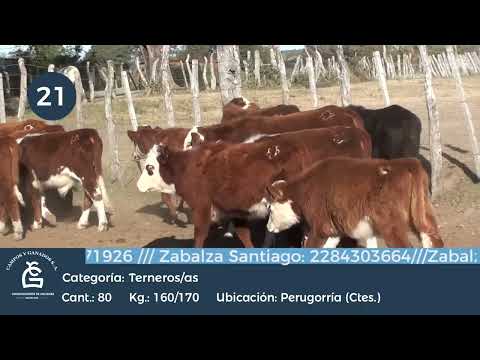 Lote M Y H - Perugorria - Ctes