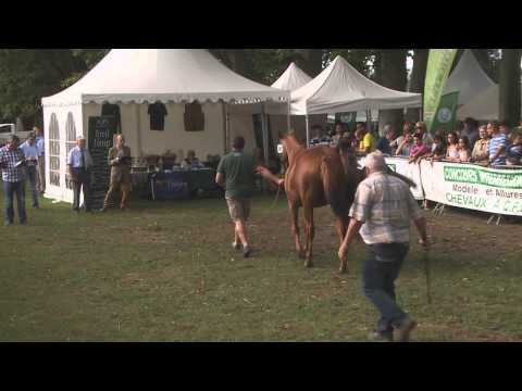 Lot 96   M14   Khalkevi   Penelope de Guye