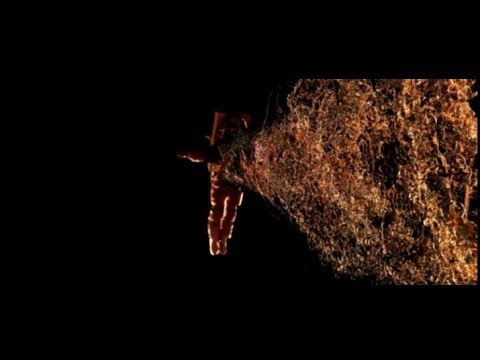 BUF - Dante 01 - Making Of