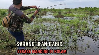 Download lagu MENEMUKAN SARANG IKAN GABUS YANG KELAPARAN || casting gabus full strike mp3 Download lagu MENEMUKAN SARANG IKAN GABUS YANG KELAPARAN || casting gabus full strike mp3