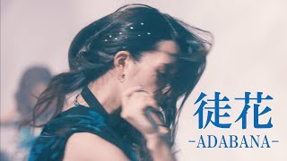 Cover art for 徒花 -ADABANA-
