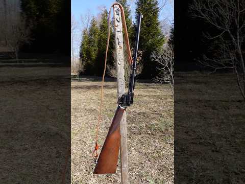 Heritage Roughrider Rancher shooting and review 22 long rifle