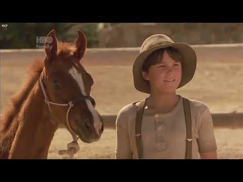 Running Free (Pura Liberdade) 1999 | Dublado