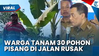 Protes Jalan Rusak 2,5 Km Tak Kunjung Diperbaiki, Warga Blora Tanam 30 Pohon Pisang di Tengah Jalan