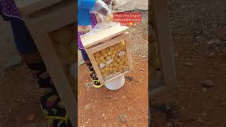 Street snack #embershorts #snacks #streetfood #shorts