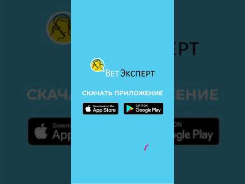 Мой Ветеринар - ВетЭксперт